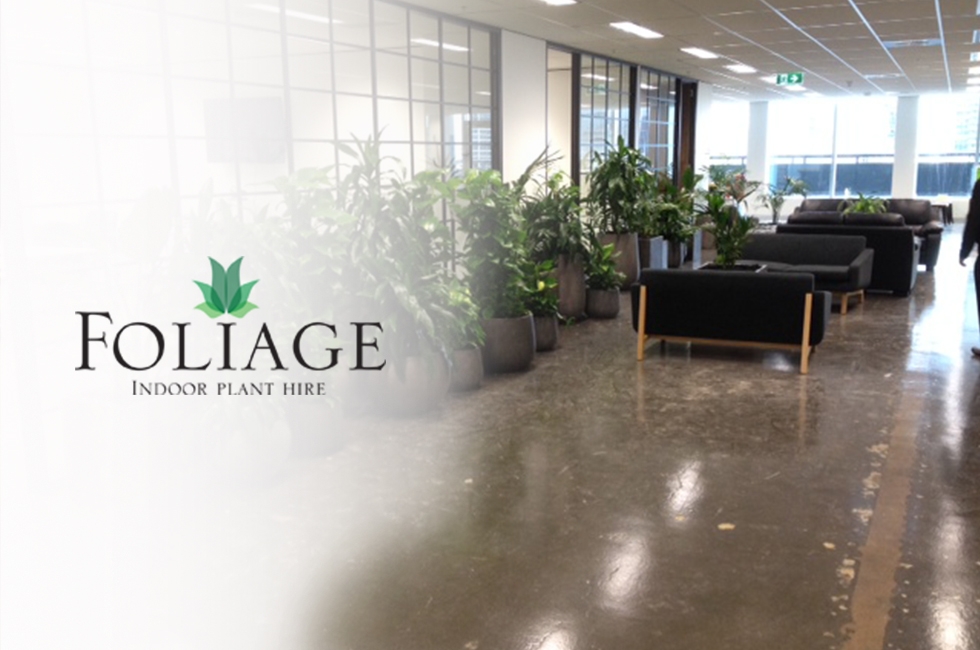 Foliage indoor plant hire